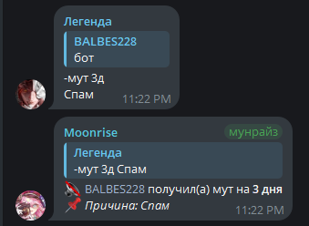ответ бота о выданном муте