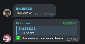 подтверждение установки никнейма в чате