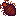 Лесной клещ