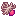 Морская лилия